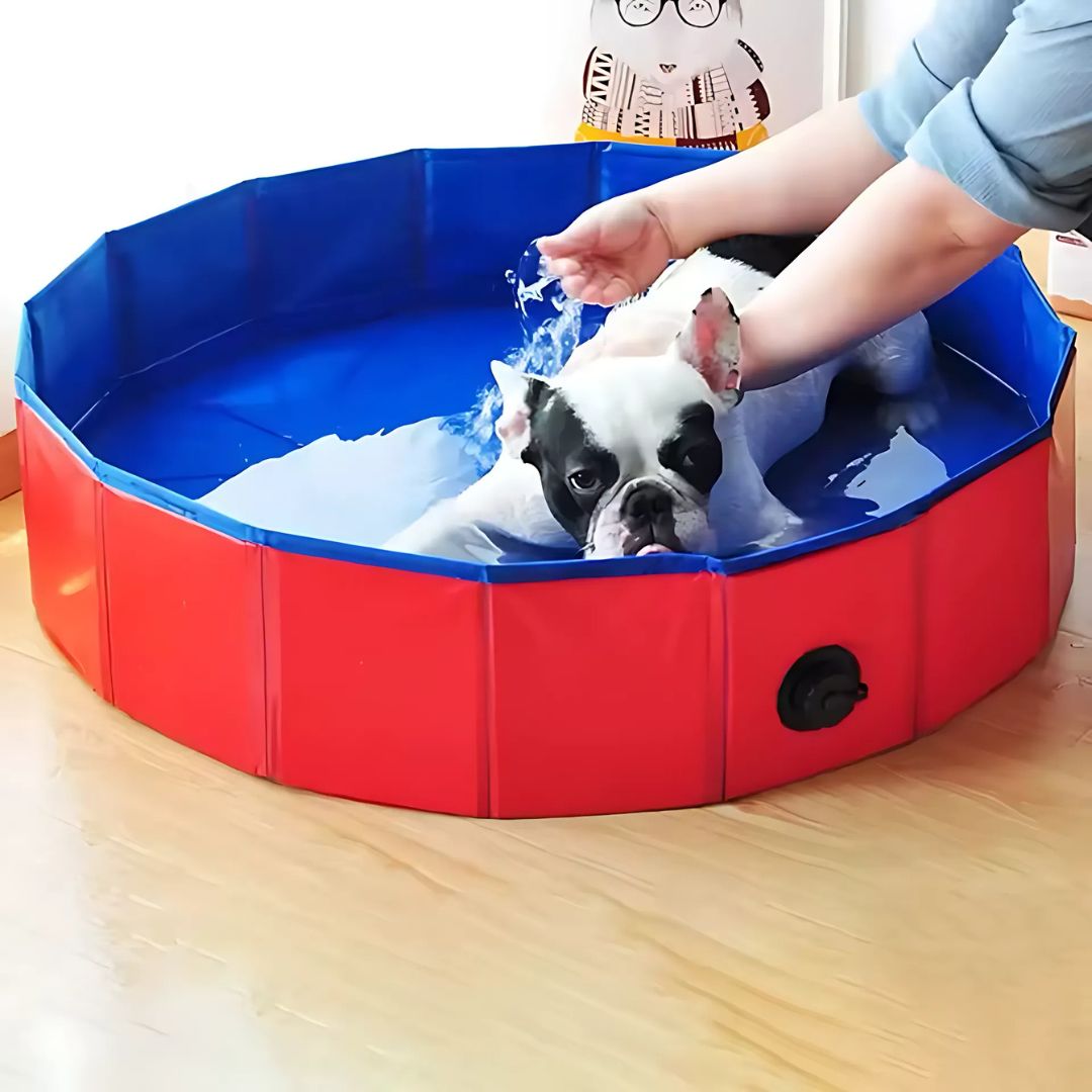 AquaPaws pool Foldable Pool