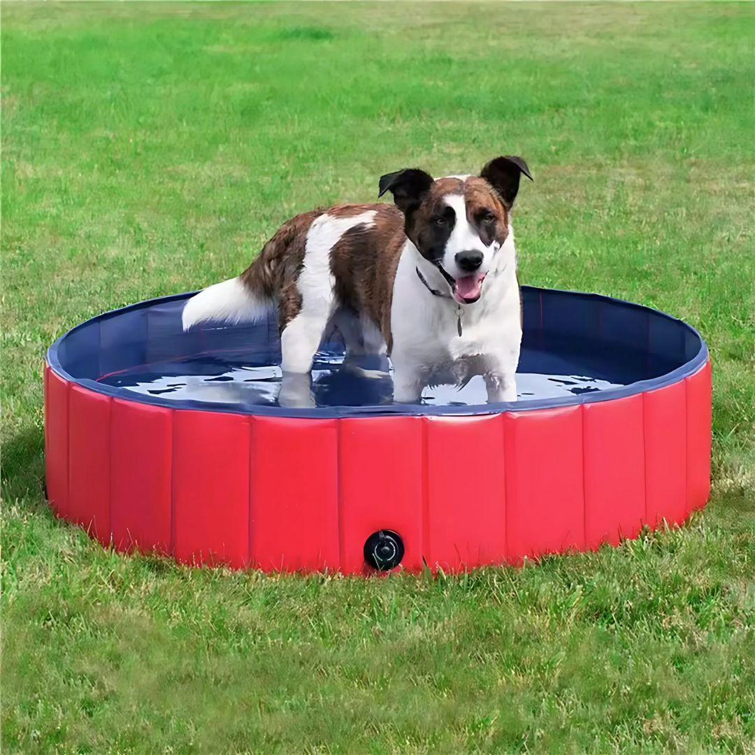 AquaPaws pool Foldable Pool