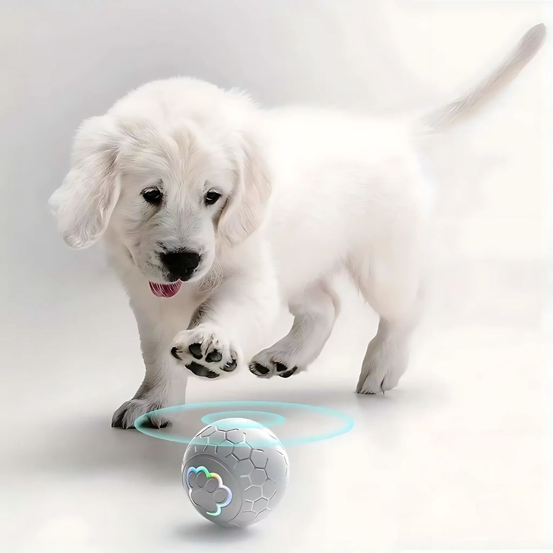 Peppy Pet Ball