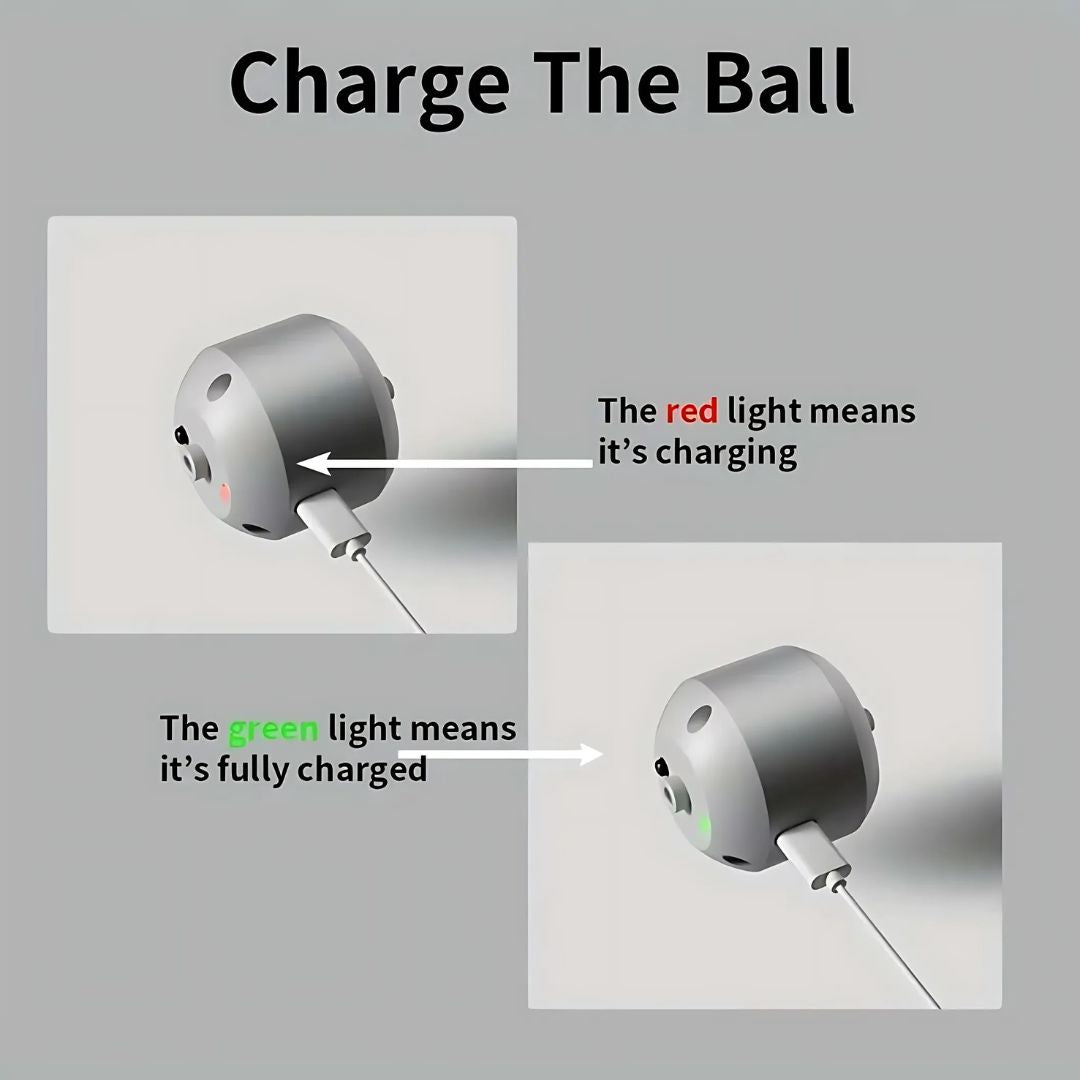 Peppy Pet Ball