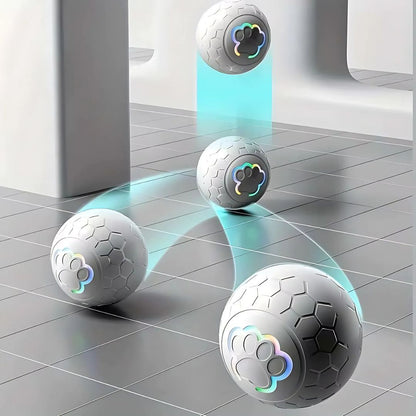Peppy Pet Ball
