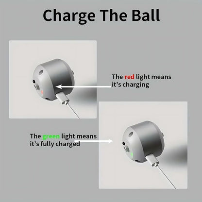Peppy Pet Ball